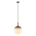 Zuma Line - Lampada a sospensione con cavo 1xE27/25W/230V Ø 30 cm oro/nero