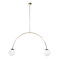 Zuma Line - Lampada a sospensione su cavo 2xE14/10W/230V dorata