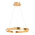 Zuma Line - Lampada a sospensione su cavo LED/30W/230V 40 cm dorata