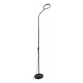 Zuma Line - Lampada da terra dimmerabile LED/10W/230V 3000/4500/6500K nero