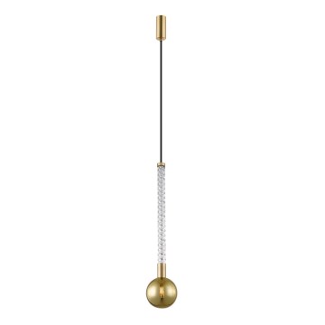 Zuma Line - Lampadario a sospensione con filo 1xG9/6W/230V ottone