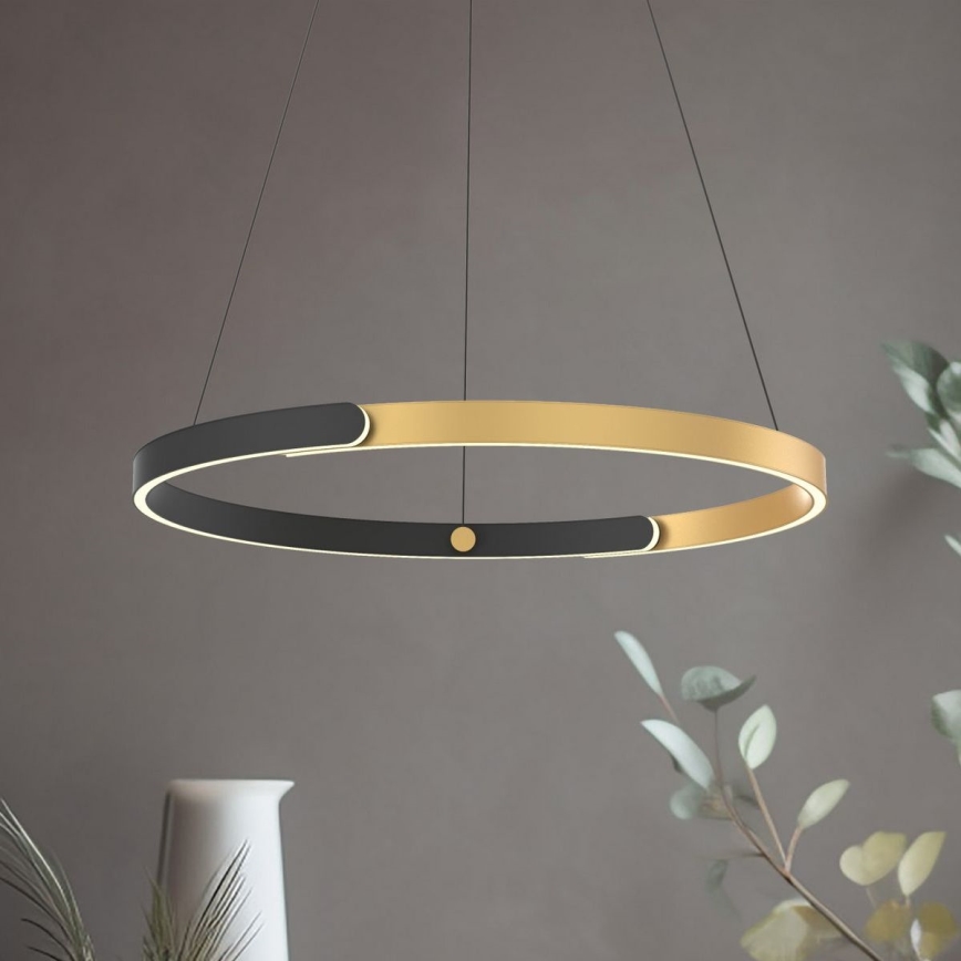 Zuma Line - Lampadario a sospensione con filo LED dimmerabile LED/30W/230V nero/oro
