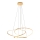 Zuma Line - Lampadario a sospensione con filo LED dimmerabile LED/56W/230V oro