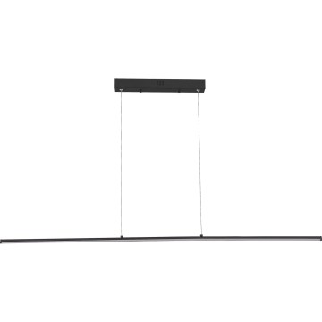 Zuma Line - Lampadario a sospensione LED su cavo LED/20W/230V nero