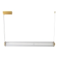 Zuma Line - Lampadario dimmerabile a cavo LED/39W/230V 2700-6500K oro + telecomando