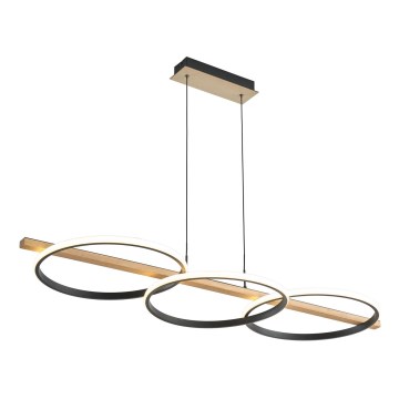 Zuma Line - Lampadario dimmerabile a LED su cavo LED/35W/230V