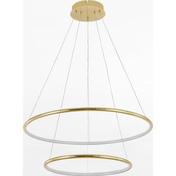 Zuma Line - Lampadario LED a sospensione con filo LED/40W/230V oro