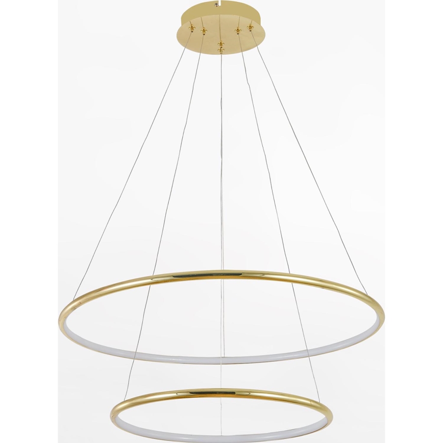 Zuma Line - Lampadario LED a sospensione con filo LED/40W/230V oro
