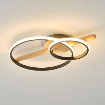 Zuma Line - Lampadario LED da soffitto dimmerabile LED/17W/230V