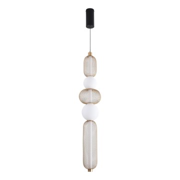 Zuma Line - Lampadario LED dimmerabile a sospensione con cavo LED/27W/230V 3000-5700K dorato + telecomando incluso