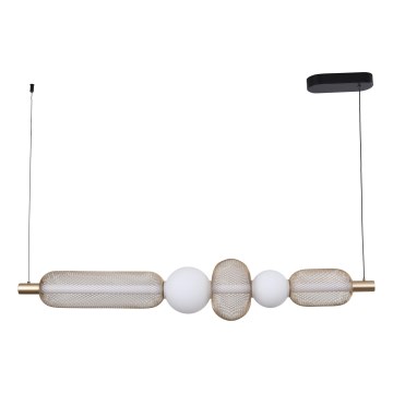 Zuma Line - Lampadario LED dimmerabile a sospensione su cavo LED/27W/230V 3000-5700K oro