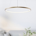 Zuma Line - Lampadario LED su cavo LED/36W/230V 3000/4000/6000K diam. 80 cm oro