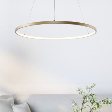 Zuma Line - Lampadario LED su cavo LED/36W/230V 3000/4000/6000K diam. 80 cm oro
