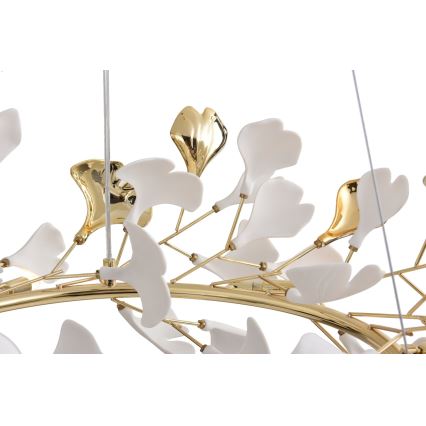 Zuma Line - Lampadario sospeso con cavo 6xG9/42W/230V Ø 74 cm oro