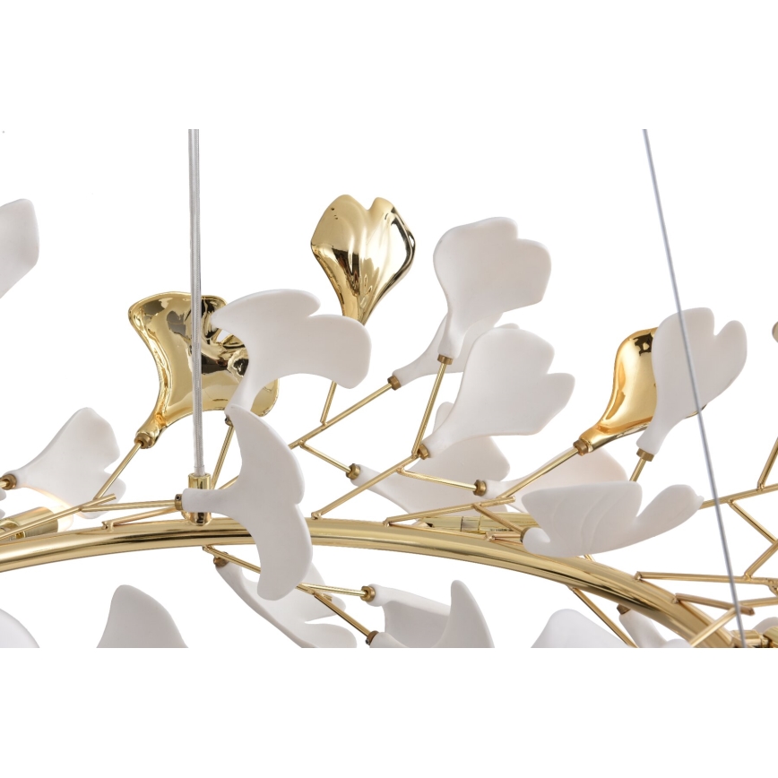 Zuma Line - Lampadario sospeso con cavo 6xG9/42W/230V Ø 74 cm oro