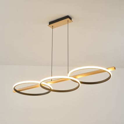 Zuma Line - Lampadario dimmerabile a LED su cavo LED/35W/230V