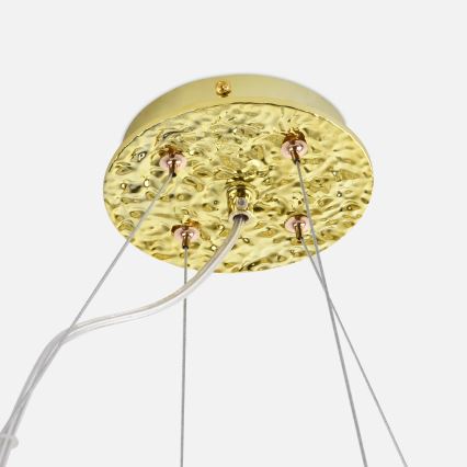 Zuma Line - Lampadario a sospensione con cavi 14xG9/3,5W/230V 115x40 cm dorato