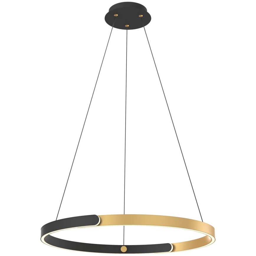 Zuma Line - Lampadario a sospensione con filo LED dimmerabile LED/30W/230V nero/oro
