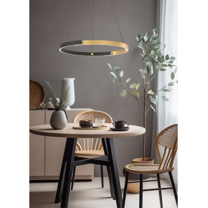 Zuma Line - Lampadario a sospensione con filo LED dimmerabile LED/30W/230V nero/oro