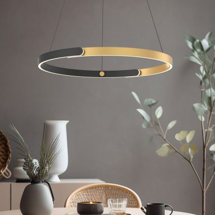 Zuma Line - Lampadario a sospensione con filo LED dimmerabile LED/30W/230V nero/oro