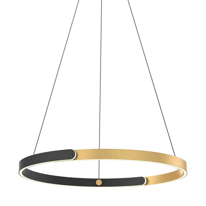 Zuma Line - Lampadario a sospensione con filo LED dimmerabile LED/30W/230V nero/oro