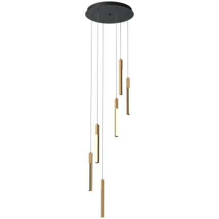 Zuma Line - Lampadario a sospensione con filo LED dimmerabile LED/25W/230V