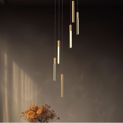 Zuma Line - Lampadario a sospensione con filo LED dimmerabile LED/25W/230V