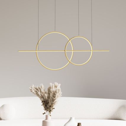 Zuma Line - Lampadario a sospensione con filo LED dimmerabile LED/34W/230V oro