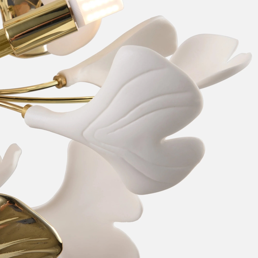 Zuma Line - Lampadario a plafone 6xG9/42W/230V Ø 70 cm dorato