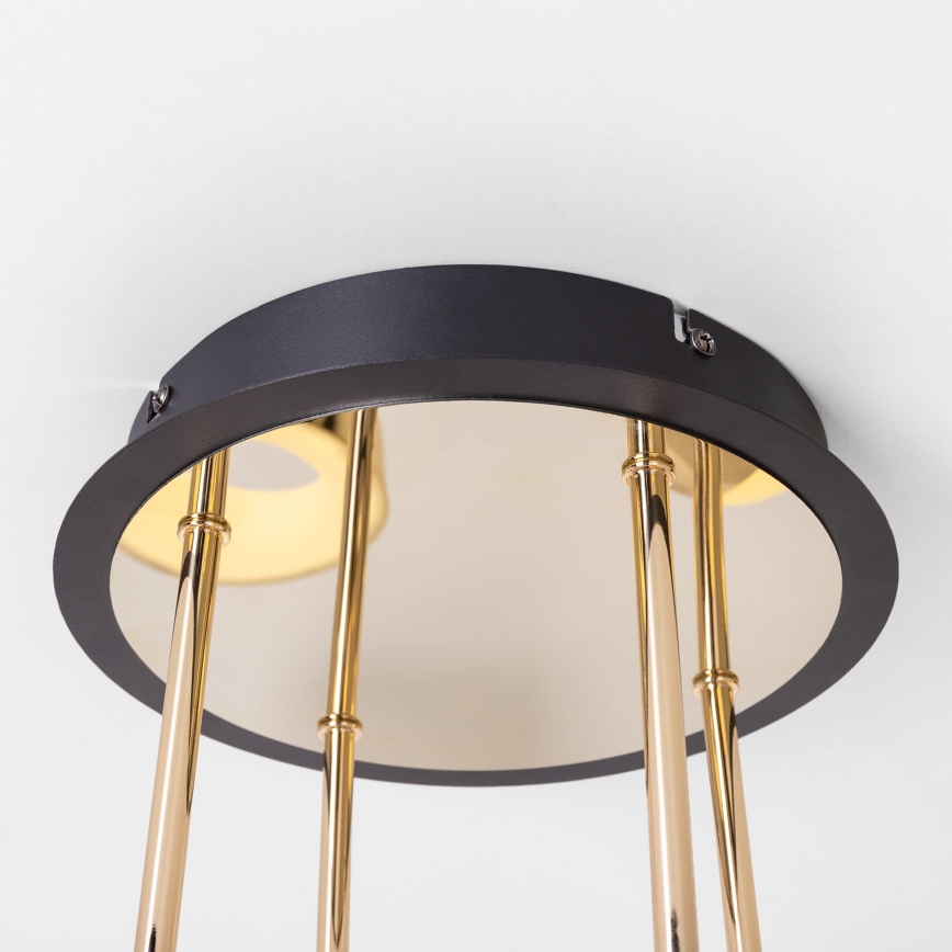 Zuma Line - Plafoniera LED dimmerabile a montaggio superficiale LED/60W/230V oro/nero