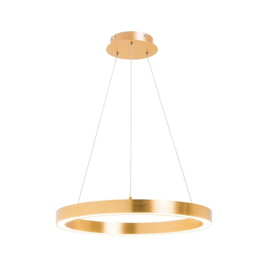 Zuma Line - Lampadario LED su filo 1xLED/30W/230V 40 cm dorato