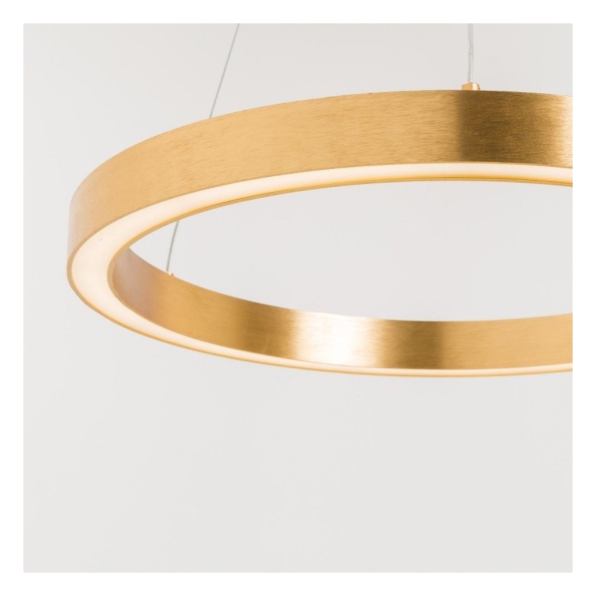 Zuma Line - Lampadario LED su filo 1xLED/40W/230V 50 cm dorato