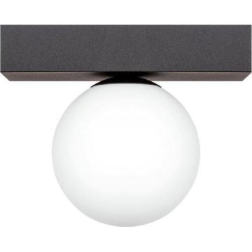 Zuma Line - Plafoniera 1xG9/8W/230V nero