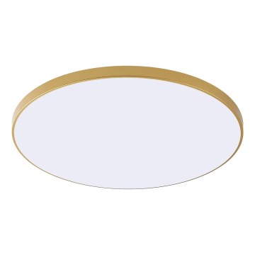 Zuma Line - Plafoniera a LED VERI, 44W/230V, Ø 47 cm, dorata