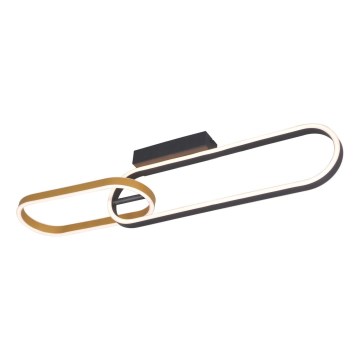 Zuma Line - Plafoniera LED 2xLED/24W/230V nera/dorata