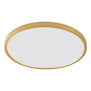 Zuma Line - Plafoniera LED CAMI LED/36W/230V 3000/4000/6000K Ø 40 cm dorata
