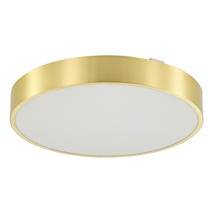 Zuma Line - Plafoniera LED dimmerabile da bagno LED/50W/230V 3000-6000K diametro 50 cm IP44 oro + telecomando