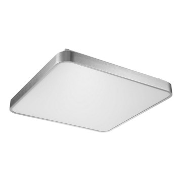 Zuma Line - Plafoniera LED LED/60W/230V cromo lucido
