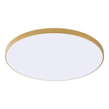 Zuma Line - plafoniera LED VERI LED/32W/230V Ø 37 cm dorata